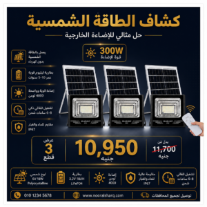 3 * ABS فلود لايت 300 وات